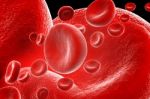 Blood Cells Stock Photo