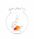 Gold Fish With Air Ball In Fishbowl Stock Photo