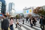 Tokyo - November 28: Crowds Of People Crossing The Center Of Shi Stock Photo