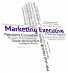 Marketing Executive Meaning Senior Administrator And Principal Stock Photo