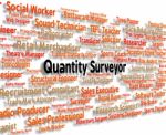 Quantity Surveyor Representing Occupations Amount And Job Stock Photo