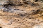 Brown Log Wood Texture Stock Photo