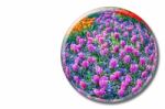Crystal Sphere With Pink Hyacinths On White Background Stock Photo