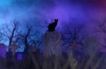 Black Cats In Cemetery,conceptual Background For Halloween Stock Photo