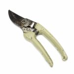 Gardening Secateurs For Cutting Branches Stock Photo