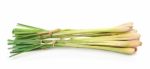 Lemongrass Isoleted On White Background Stock Photo