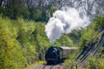 Steam Train On The Bluebell Railway Line In Sussex Stock Photo