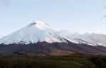 Cotopaxi Volcano Over The Plateau On The Sunset. Andean Highland Stock Photo