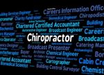 Chiropractor Job Indicates Back Doctor And Spine Stock Photo