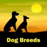 Dog Breeds Shows Pasture Puppy And Doggie Stock Photo