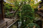 People At Zen Garden Inside Eikando, Kyoto Stock Photo
