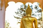 Back Of Golden Buddha Statue Stock Photo