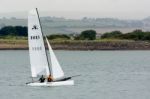 Sailing In The Torridge And Taw Estuary Off Appledore Stock Photo