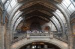 People At The Top Of A Staircase At The Natural History Museum I Stock Photo