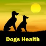 Dogs Health Shows Puppies Canines And Landscape Stock Photo