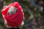 Lady Wearing A Polkadot Silk Scarf On Her Head At The Goodwood R Stock Photo