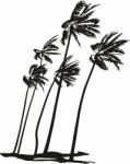 Palms During A Hurricane Stock Photo