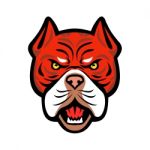 Red Tiger Bulldog Head Front Mascot Stock Photo
