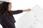 Female Architect Looking At Blueprints Stock Photo