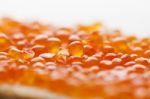 Macro Closeup Caviar On Bread Stock Photo