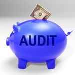 Audit Piggy Bank Means Auditing Inspecting And Finances Stock Photo