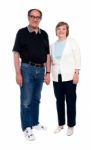 Happy Senior Couple standing Stock Photo