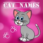Cat Names Represents Pedigree Feline And Kitten Stock Photo