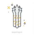 Thin Line Icons, Asparagus Stock Photo
