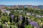 View From The Alcazaba Fort And Palace In Malaga Stock Photo