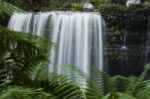 Russel Falls In Mount Field National Park Stock Photo