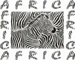 Background With A Zebra Motif With The Text Africa Stock Photo