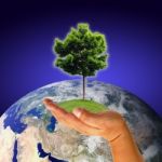 Earth With Tree In Hand Stock Photo