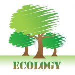 Ecology Trees Represents Go Green And Eco-friendly Stock Photo