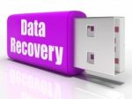Data Recovery Pen Drive Means Convenient Backup Or Data Restorat Stock Photo