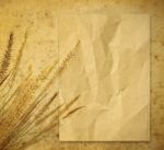 Wheat On Paper Stock Photo