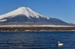 Fujiyama At Yamanakako Lake, Japan Stock Photo