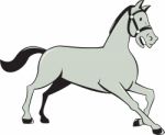 Horse Trotting Side Cartoon Isolated Stock Photo