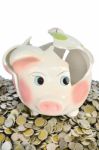 Pink Piggy Bank Broken With Money Stock Photo