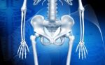 Skeleton And Human Rib Stock Photo