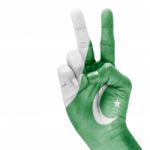 Pakistan Flag On Hand Stock Photo