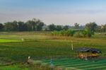 Asian Green Rural Field In Thailand Stock Photo