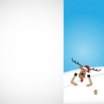Christmas Reindeer White Background  Stock Photo