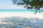 Beautiful  Beach At Ta Chai Island, Phang Nga Thailand Stock Photo