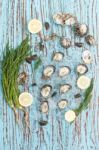 Oyster Seafood Lemon Dill Fresh Mussel Asia Appetizer Luxury Stock Photo