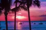 Pink Hawaii Sunset Stock Photo