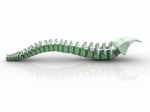 3d Rendered Human Spine Stock Photo