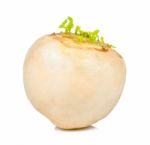 White Turnip Isolated On The White Background Stock Photo