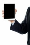 Guy Holding Tablet Pc, Cropped Image Stock Photo