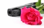 Rose And Pistol Stock Photo