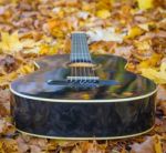 Guitar Laying Between Leafs Stock Photo